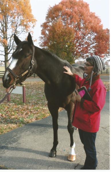 Why Rachel Alexandra?
